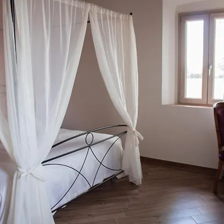 Fattoria L'olmetto Alloggio per agriturismo Pisa