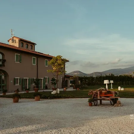 Fattoria L'olmetto * Piza