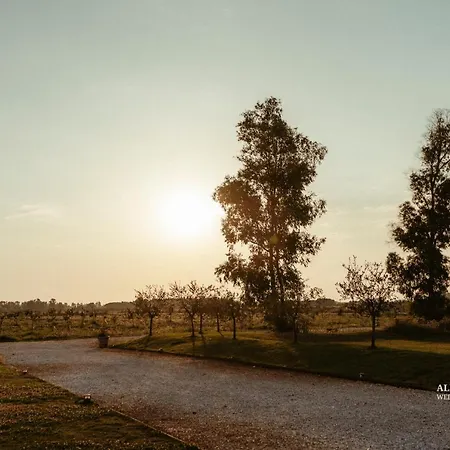Gospodarstwo agroturystyczne Fattoria L'olmetto Piza