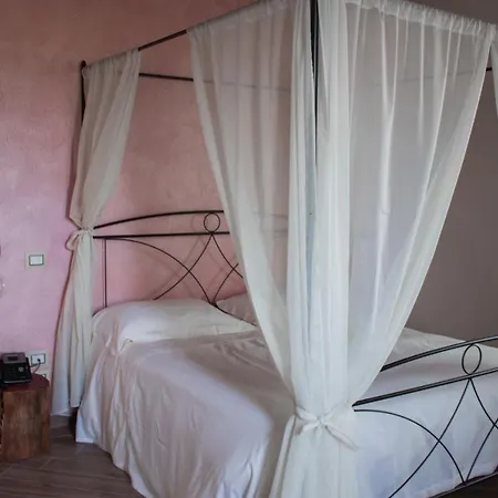 Fattoria L'olmetto Gospodarstwo agroturystyczne