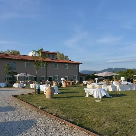 Fattoria L'olmetto Piza