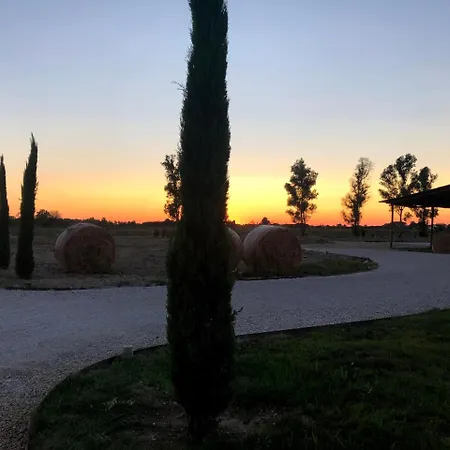 Gospodarstwo agroturystyczne Fattoria L'olmetto *