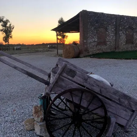 Gospodarstwo agroturystyczne Fattoria L'olmetto