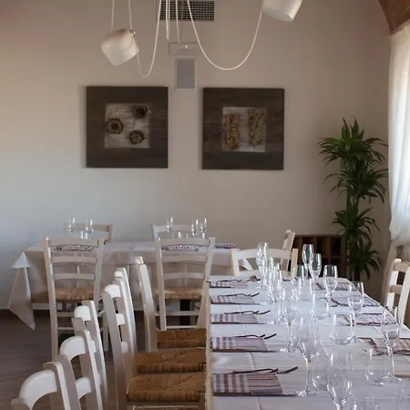 Fattoria L'olmetto * Pisa