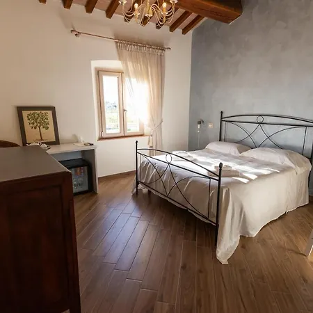Fattoria L'olmetto Gospodarstwo agroturystyczne Piza