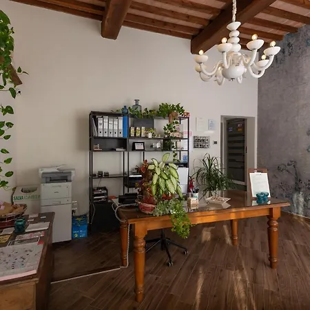 Fattoria L'olmetto Piza
