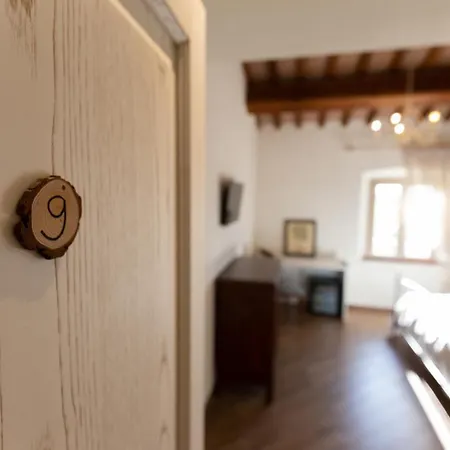 Gospodarstwo agroturystyczne Fattoria L'olmetto