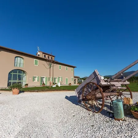 Fattoria L'olmetto