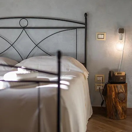 Fattoria L'olmetto Gospodarstwo agroturystyczne Piza