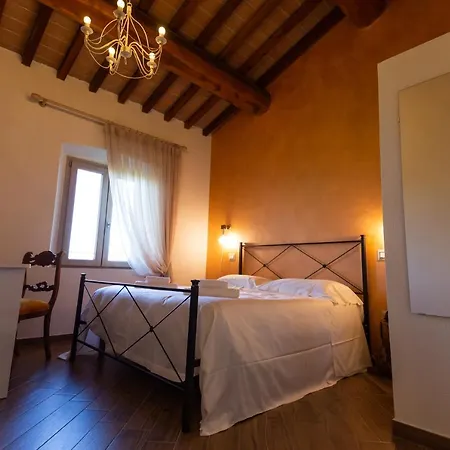 Fattoria L'olmetto Gospodarstwo agroturystyczne