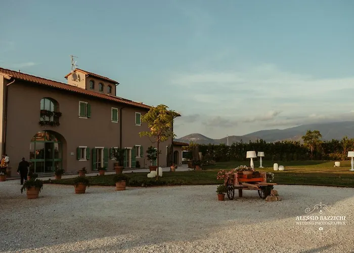 Fattoria L'olmetto * Pisa