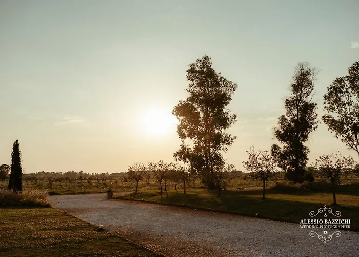 Alojamento de Turismo Rural Fattoria L'olmetto Pisa