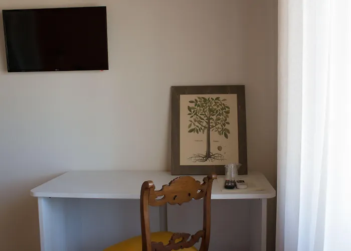 Fattoria L'olmetto Pisa