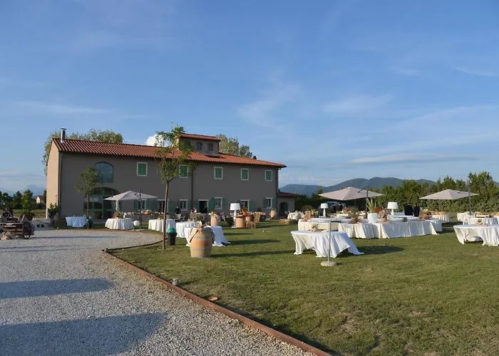 Fattoria L'olmetto Pisa