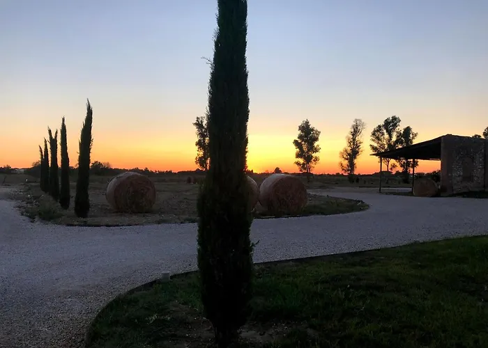 Alojamento de Turismo Rural Fattoria L'olmetto *