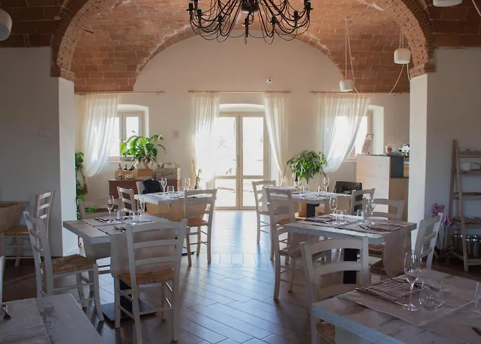 Fattoria L'olmetto Pisa