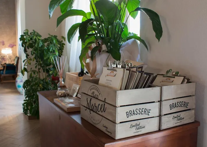 Fattoria L'olmetto * Pisa