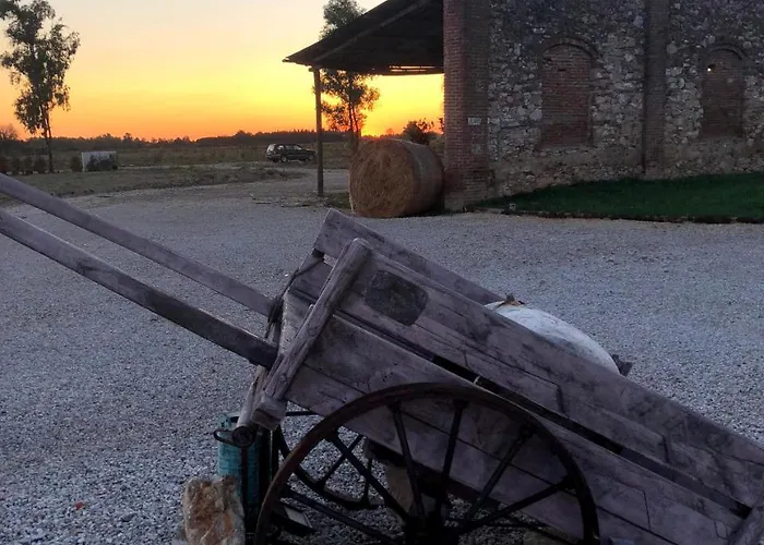 Alojamento de Turismo Rural Fattoria L'olmetto
