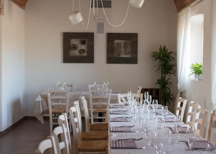 Fattoria L'olmetto * Pisa