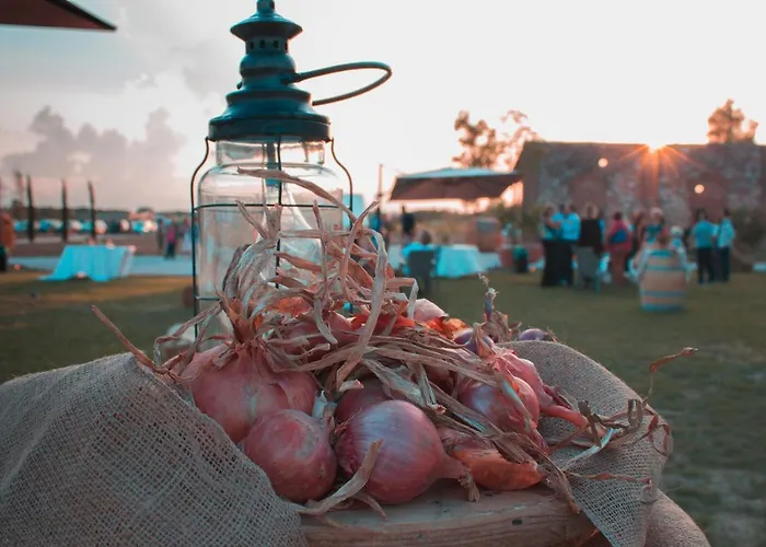 Fattoria L'olmetto Alojamento de Turismo Rural