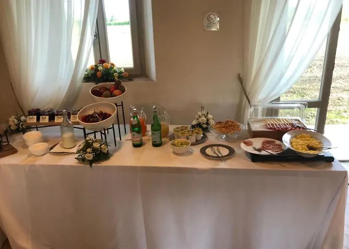 Fattoria L'olmetto * Pisa