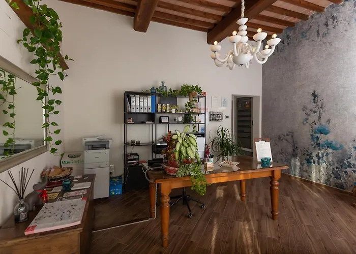 Fattoria L'olmetto Pisa