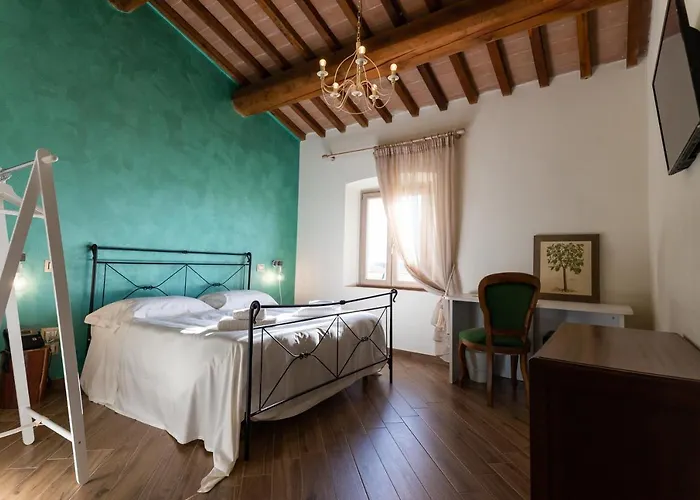 Fattoria L'olmetto Pisa