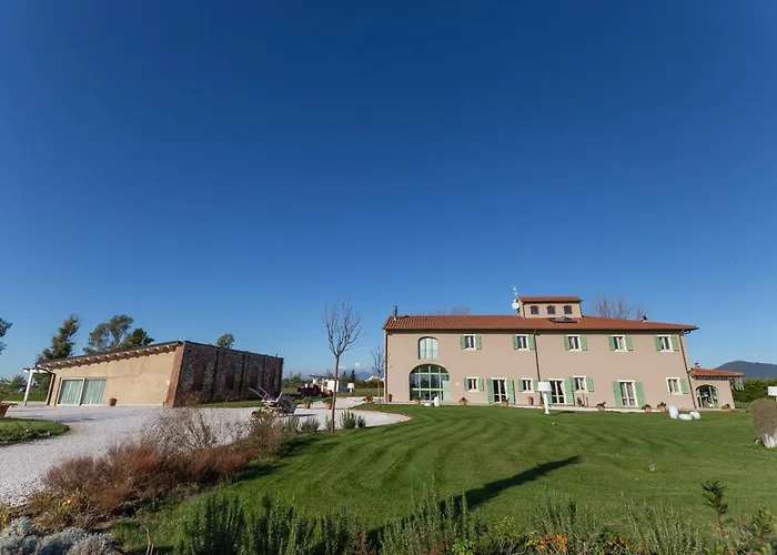 Fattoria L'olmetto * Pisa